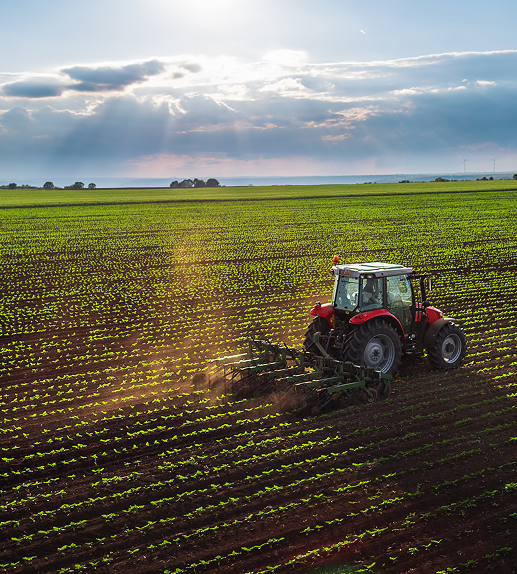 Salalah Agricultural 