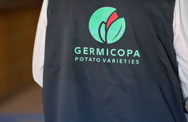 492141453 1237469205053635 2267532836234249497 n a614ec22